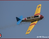 TSR Watermark - 0529